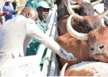 Angola começa a produzir  vacina animal já no próximo  ano a partir do Huambo