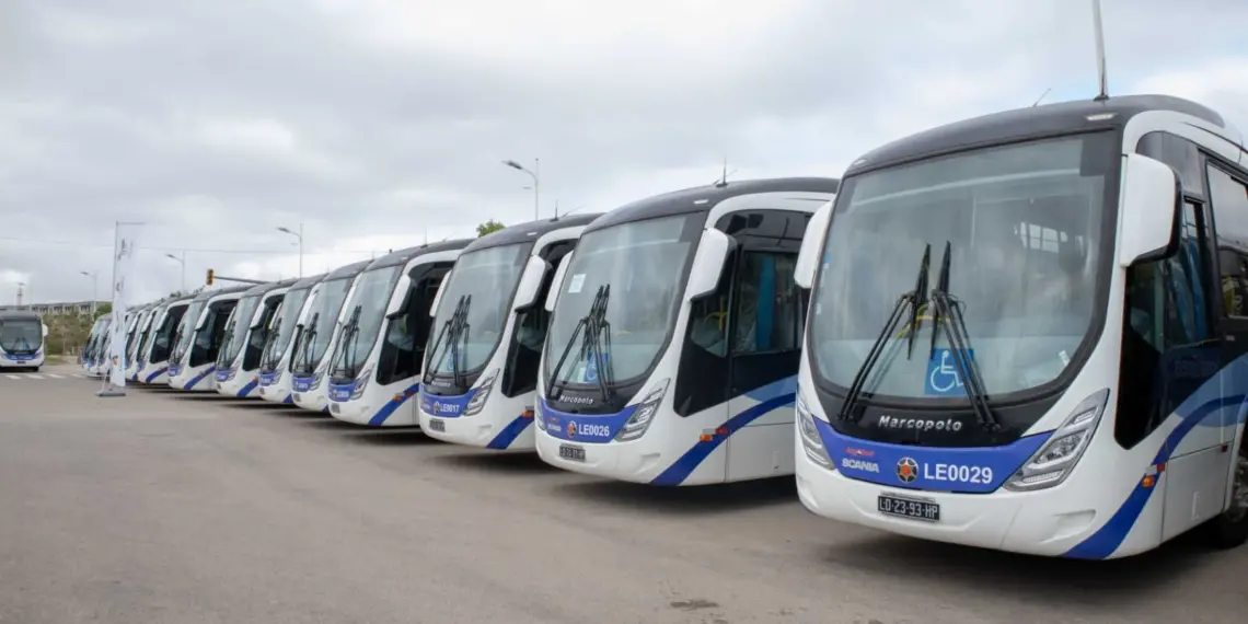 Cuito com carência de 40 novos autocarros públicos