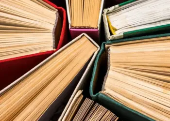 Absolutismo semântico: casualidade  da sinonímia absoluta e não absoluta