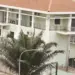 Instituto de Controlo do Câncer regista 20 mortes por mês