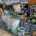 Feira da Batata e do Milho encerra com lucro de mais de mil milhões de kwanzas