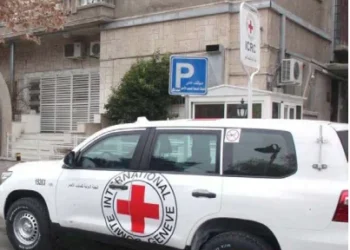 Cruz Vermelha regista mais  de 71 mil desaparecidos em África