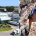 BRF e Marfrig na vanguarda do  comércio global de proteína animal