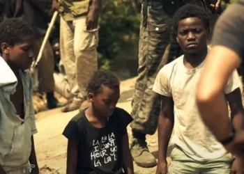 Cineastas vão beneficiar  de curso sobre indústria  cinematográfica  no próximo ano