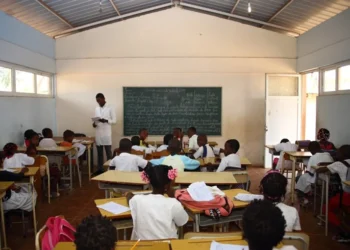 Pelo fim do ensino mecanizado da Língua Portuguesa