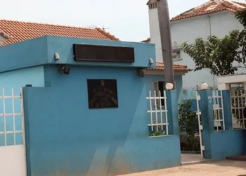 Belos acasos da vida