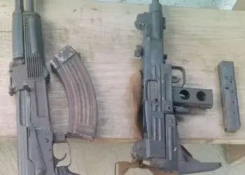 Carta do leitor: Posse de armas…