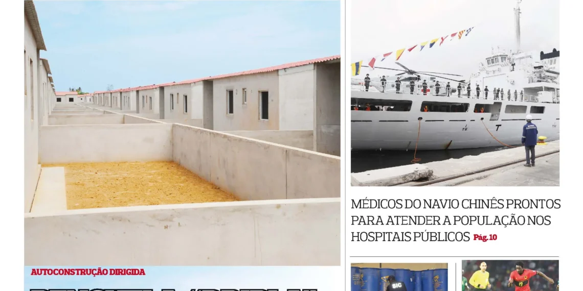 Editorial:Combate à violência doméstica
