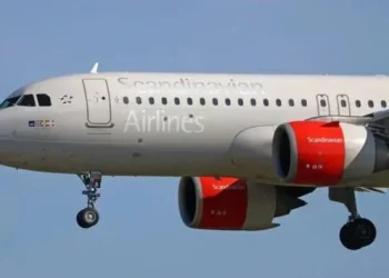 Rato obriga aterragem forçada de avião na Dinamarca