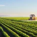 O valor do planeamento no agro-negócio angolano: uma reflexão sobre a estocagem e a transformação de produtos
