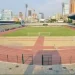 A má qualidade da relva  nos estádios de futebol