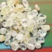 Produção de diamante registou aumento de 36% no primeiro semestre de 2024