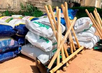 Mais de 500 angolanos refugiados na RDC beneficiam de insumos agrícolas