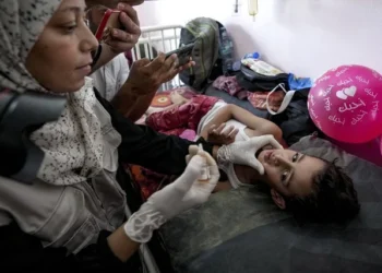 Crianças da Faixa de Gaza vacinadas contra a poliomielite durante a trégua da guerra de três dias 