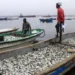 Ministra pede atenção às pequenas  embarcações no combate à pesca ilegal