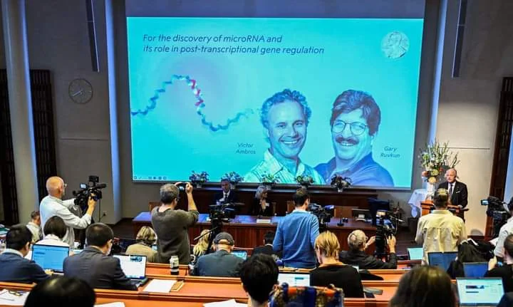 Nobel de medicina atribuído a dois cientistas norte-americanos