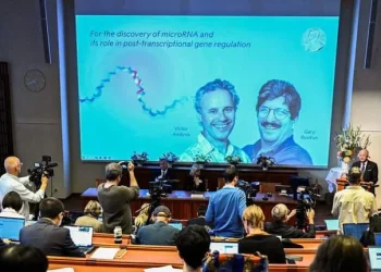 Nobel de medicina atribuído a dois cientistas norte-americanos