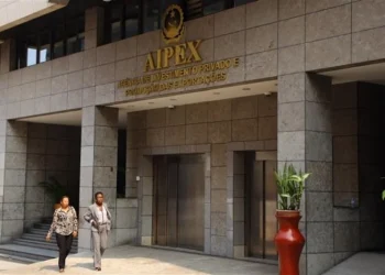 AIPEX regista cinco contratos de intenções de investimento