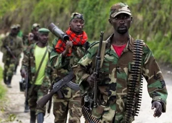 Exércitos do Uganda e da RDC  continuam operações contra rebeldes