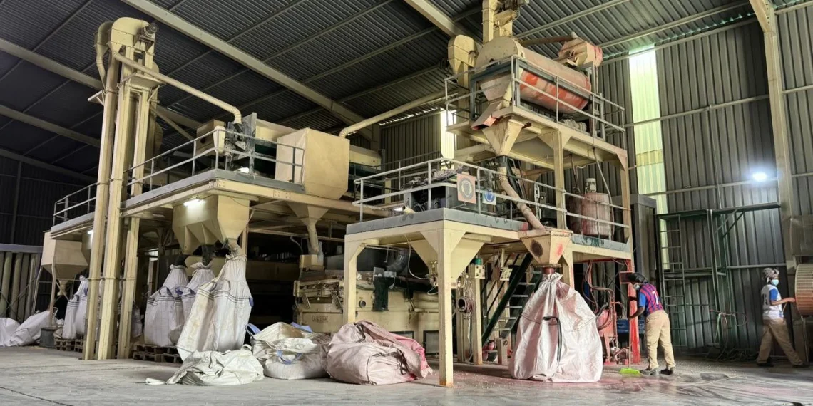 FGC com mais de 400 milhões de kwanzas em garantia para produção de sementes de cereais na Huíla