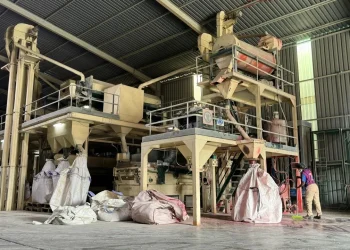 FGC com mais de 400 milhões de kwanzas em garantia para produção de sementes de cereais na Huíla