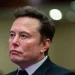 Elon Musk ironiza com condições de Zelensky para negociações com Rússia