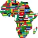 O novo desafio global e o papel de uma África  resiliente no cenário pós-eleição americana