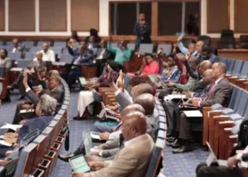 Assembleia Nacional debate acordo entre  União Europeia e OEACP, reforçando papel  de Angola na cooperação internacional
