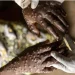 Controlo redobrado  nas províncias fronteiriças após 2.º caso de Mpox confirmado