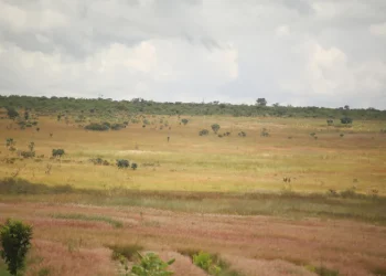 200 fazendas sem exploração e três  abandonadas no Cuanza-Norte