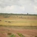 200 fazendas sem exploração e três  abandonadas no Cuanza-Norte