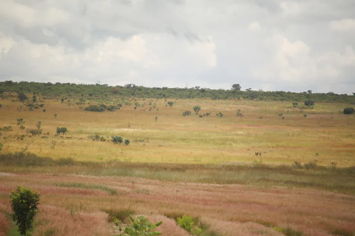 200 fazendas sem exploração e três abandonadas no Cuanza-Norte