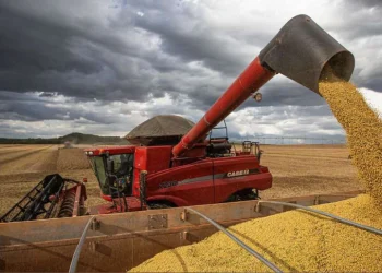 PLANAGRÃO prevê produzir 6 milhões de toneladas de cereais e leguminosas