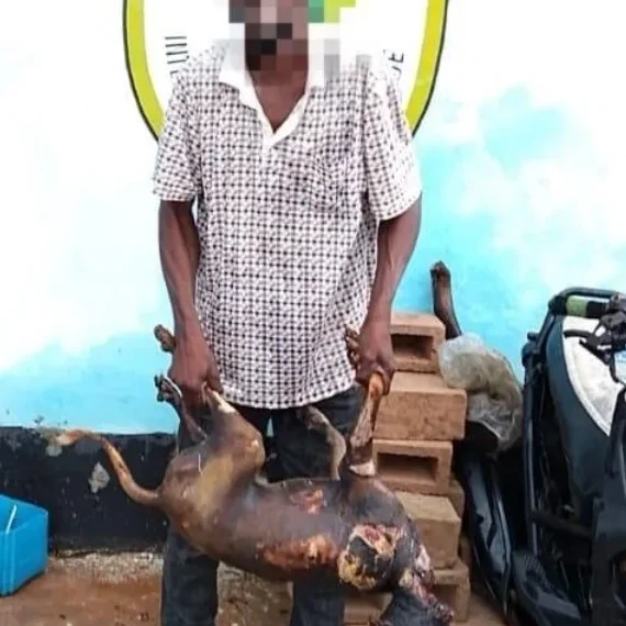 Detido cidadão que comercializava carne de cão na Lunda-Norte