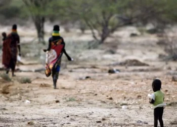 Angola beneficia de mais de 100 milhões de dólares para o combate às alterações climáticas
