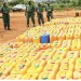 SIC apreende mais de 800 mil litros de combustível em estaleiro clandestino no Bengo