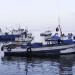 “Resultado indesejado da veda do carapau deve impor proibição da pesca por arrasto”
