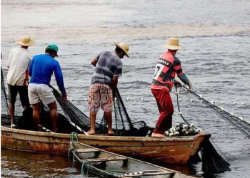 PR aprova empréstimo de USD 57,78 milhões para fortalecer Pesca Artesanal e Aquicultura