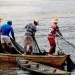PR aprova empréstimo de USD 57,78 milhões para fortalecer Pesca Artesanal e Aquicultura