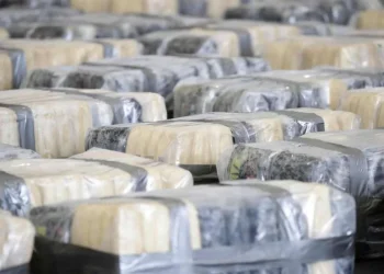 Desmantelada rede que introduzia  grandes quantidades de cocaína e haxixe em Portugal e Espanha