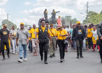 Venâncio Mondlane pede nova semana de contestação em “todos os bairros” de Moçambique