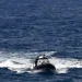 Naufrágio de barco com migrantes na Grécia resulta em cinco mortos e dezenas de desaparecidos