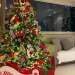 Crônica do Natal