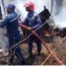 Bombeiros preocupados com aumento de incêndios em véspera do Natal