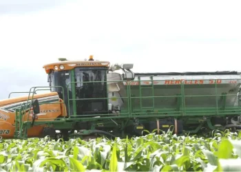 FADA disponibiliza mais de 6,6 mil milhões de kwanzas para fazendas de apoio aos pequenos agricultores