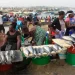 Namibe captura mais de 100 mil toneladas de pescado