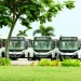 Operadoras de transportes públicos alteram  preço na rota Mbanza Kongo/Luanda