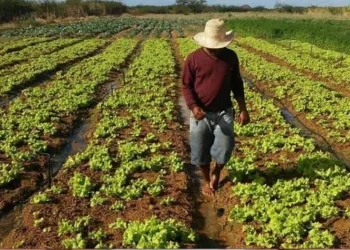 Crédito real à produção com 1,751 mil milhões de kwanzas em dois anos