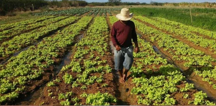Crédito real à produção com 1,751 mil milhões de kwanzas em dois anos