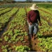 Crédito real à produção com 1,751 mil milhões de kwanzas em dois anos